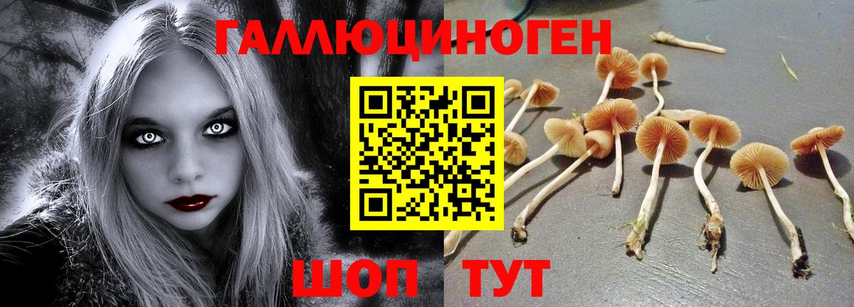 Кандалакша  Псилоцибиновые грибы ЛСД  Галлюциногенные грибы GOLDEN TEACHER  Вход с VPN 