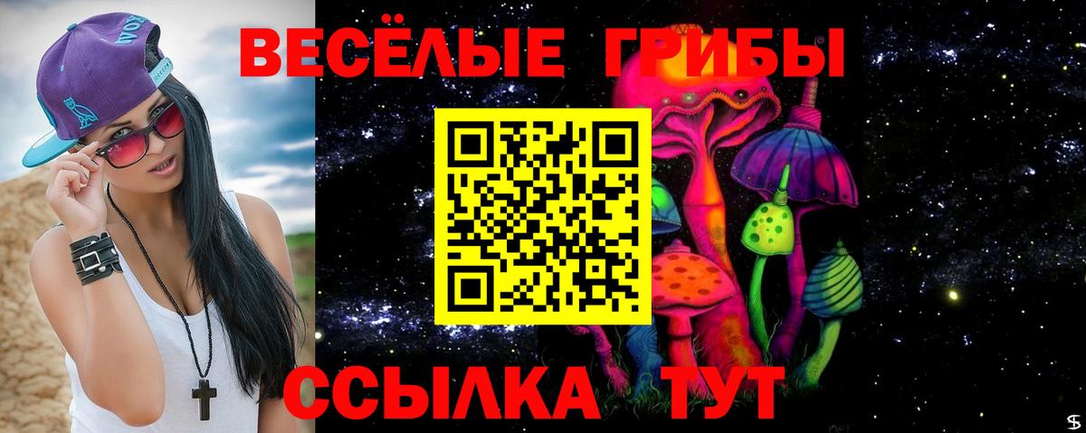 Псилоцибиновые грибы GOLDEN TEACHER Кандалакша